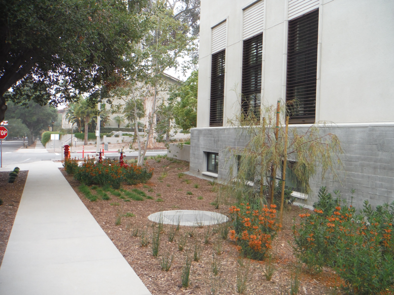 Stormwater Pump Station in Landscaped Flower Bed