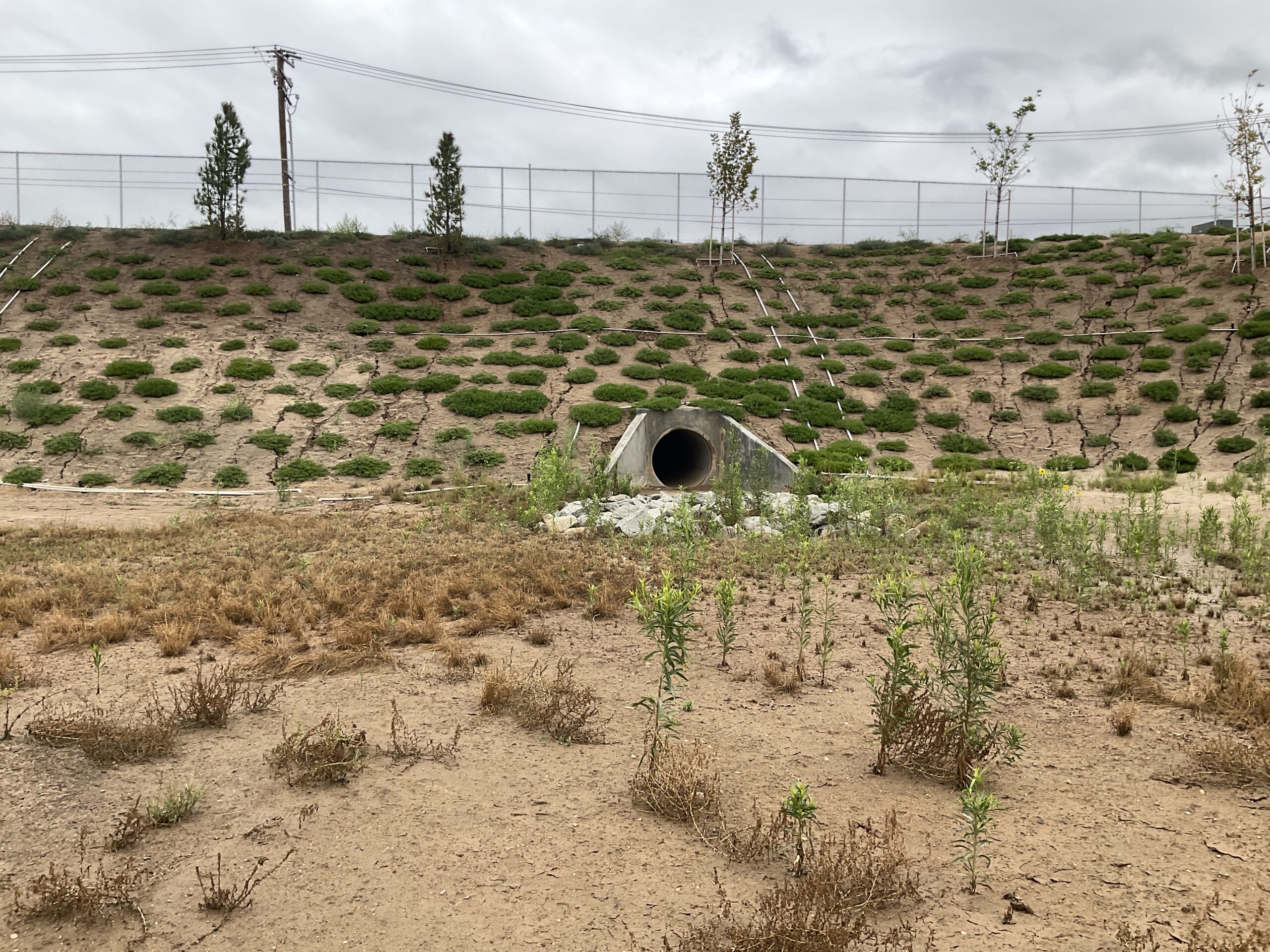 Palomino Ranch - Stormwater Lift Station